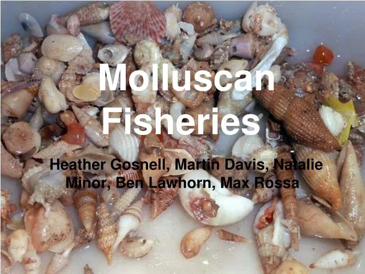 molluscan fisheries