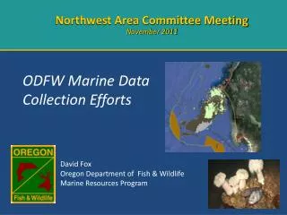ODFW Marine Data Collection Efforts