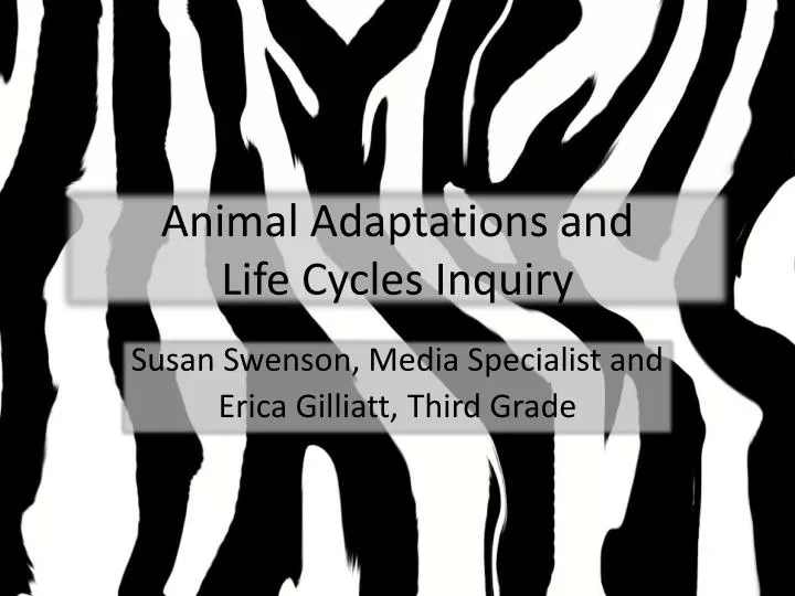 animal adaptations and life cycles inquiry