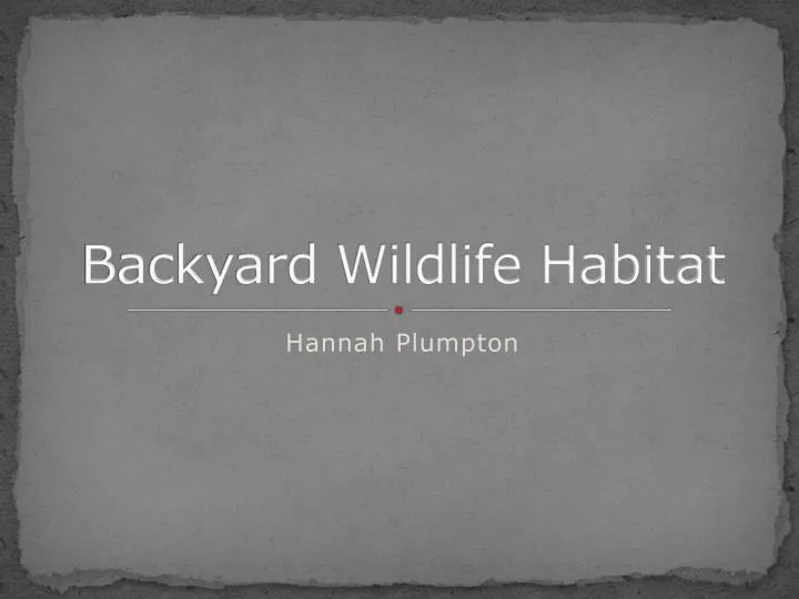 backyard wildlife habitat