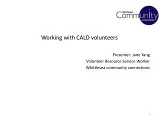 Working with CALD volunteers