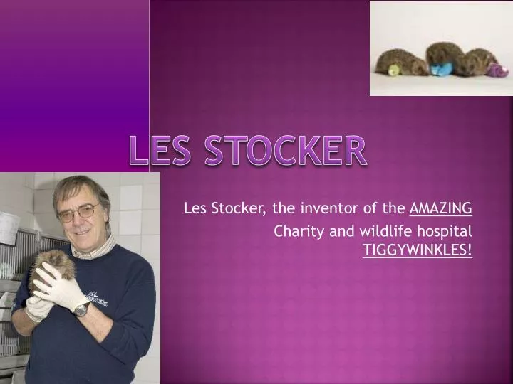 les stocker the inventor of the amazing charity and wildlife hospital tiggywinkles