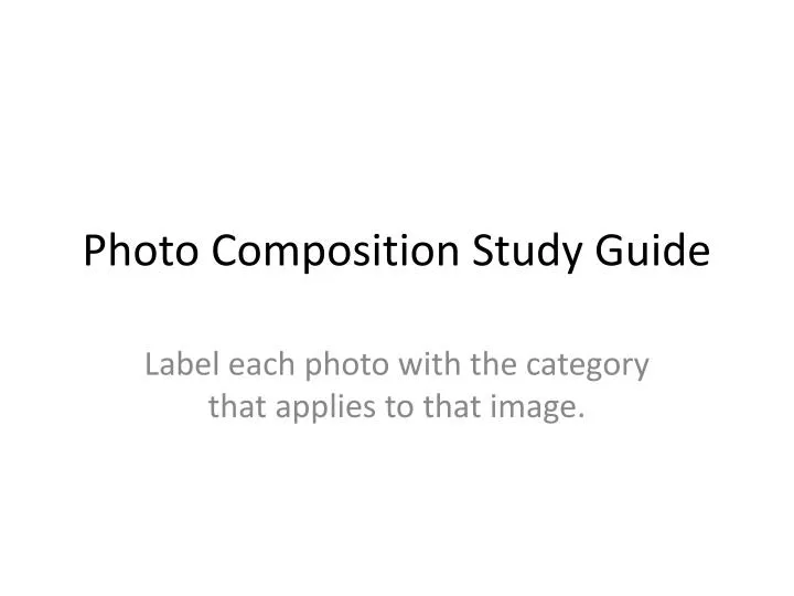 photo composition study guide