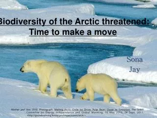 Biodiversity of the Arctic threatened: Time to make a move
