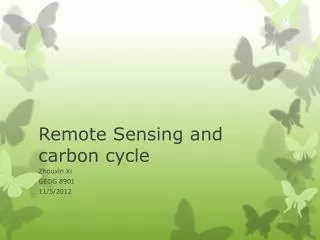 Remote Sensing and carbon cycle