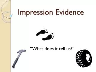Impression Evidence