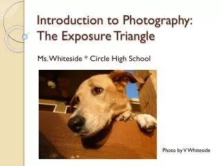 Introduction to Photography: The Exposure Triangle