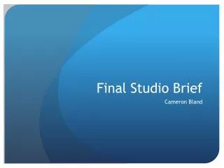 Final Studio Brief