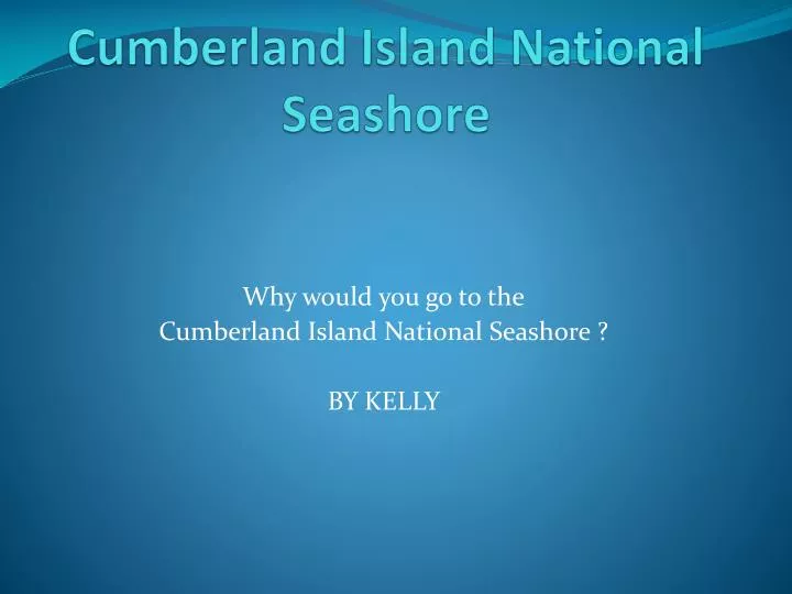 cumberland island national seashore