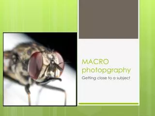 MACRO photopgraphy