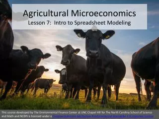 Agricultural Microeconomics Lesson 7 : Intro to Spreadsheet Modeling
