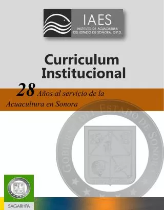 curriculum institucional