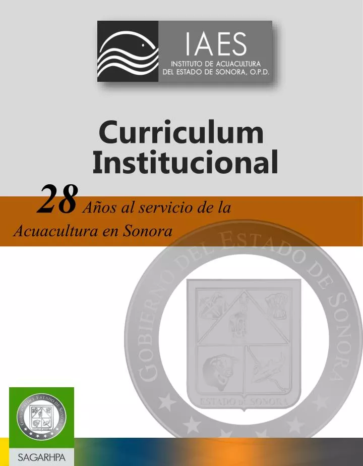 curriculum institucional