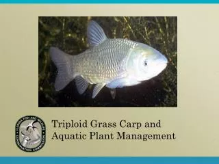 Triploid Grass Carp and Aquatic Plant Management
