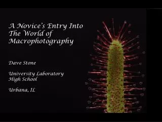 A Novice’s Entry Into The World of Macrophotography Dave Stone University Laboratory High School Urbana, IL
