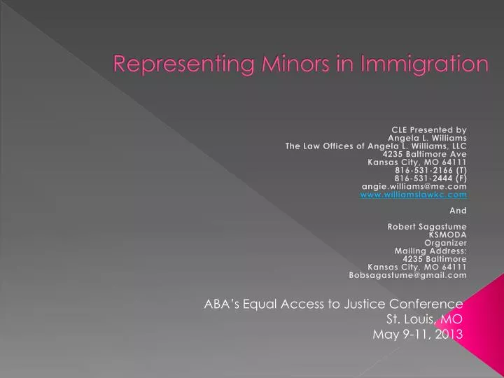 representing minors in immigration