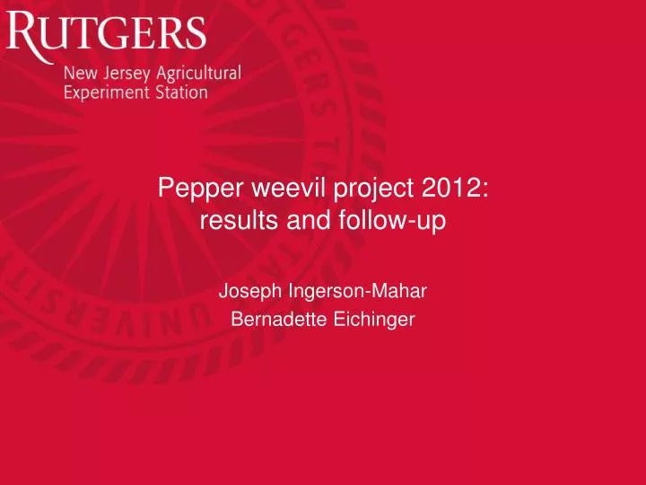 pepper weevil project 2012 r esults and follow up