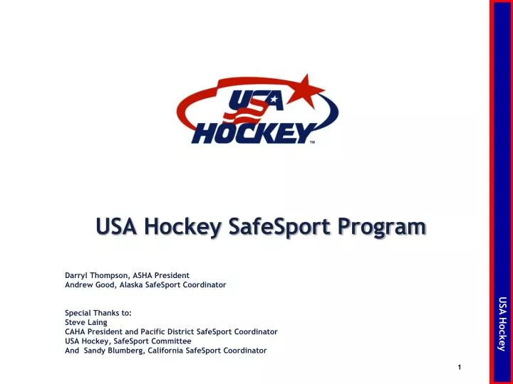 usa hockey safesport program