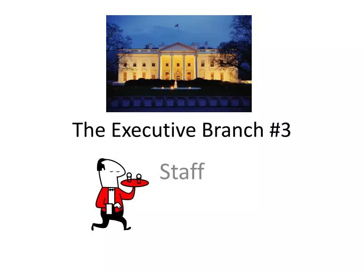 the executive branch 3