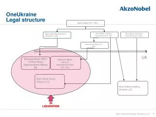 OneUkraine Legal structure