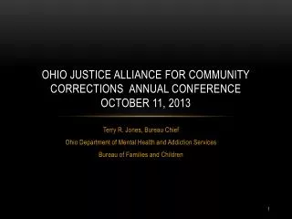 OHIO JUSTICE ALLIANCE FOR COMMUNITY CORRECTIONS ANNUAL Conference october 11, 2013