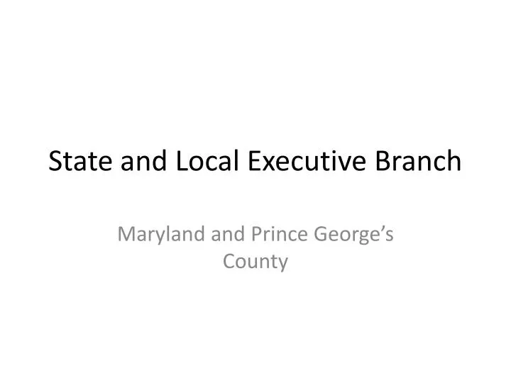 state and local executive branch
