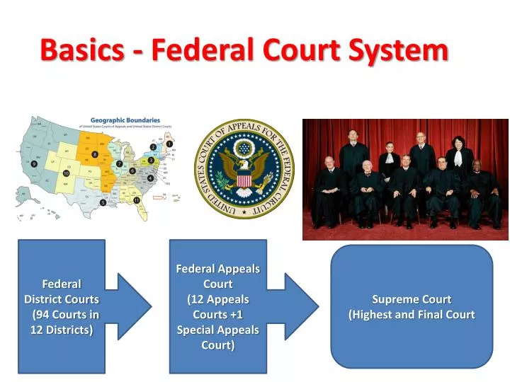 basics federal court system