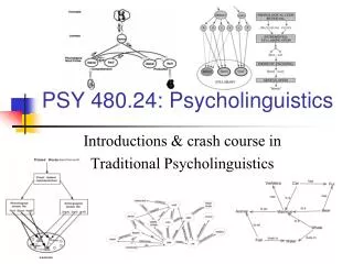 PSY 480.24: Psycholinguistics