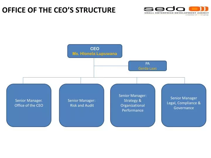 office of the ceo s structure