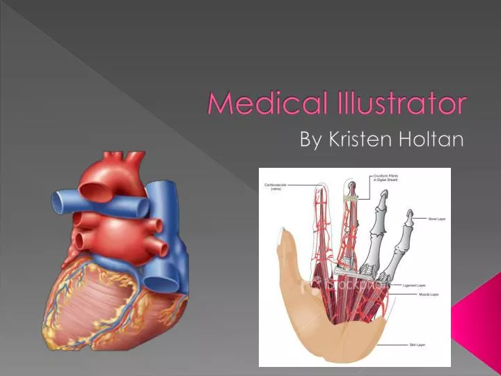 medical illustrator