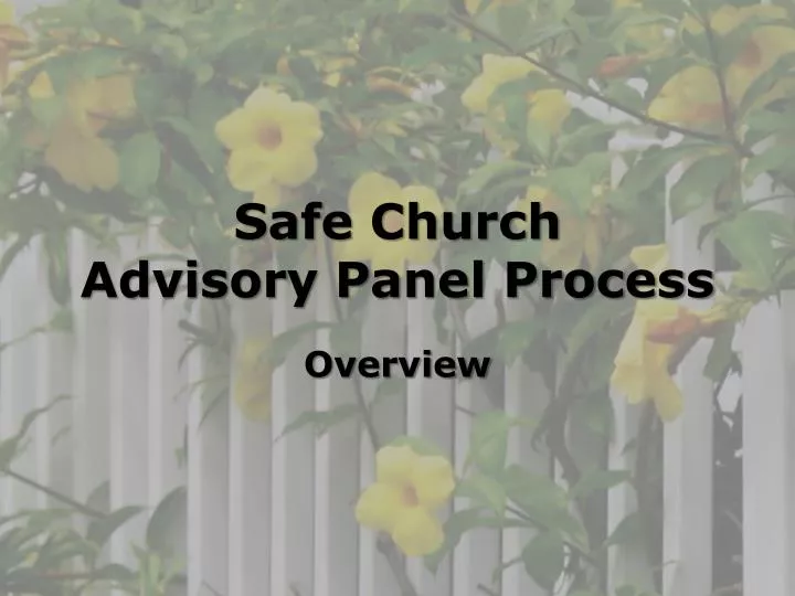 safe church advisory panel process