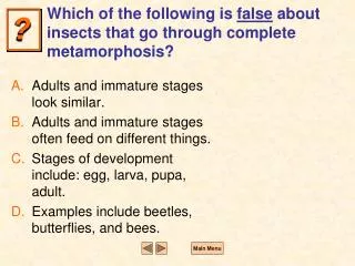 Which of the following is false about insects that go through complete metamorphosis?