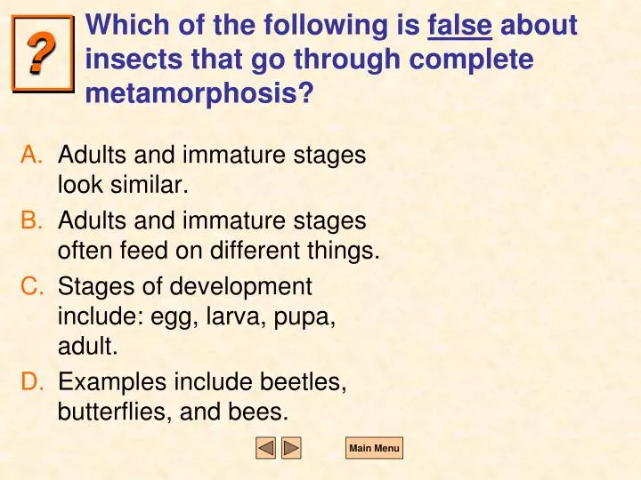 which of the following is false about insects that go through complete metamorphosis