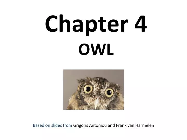 chapter 4 owl