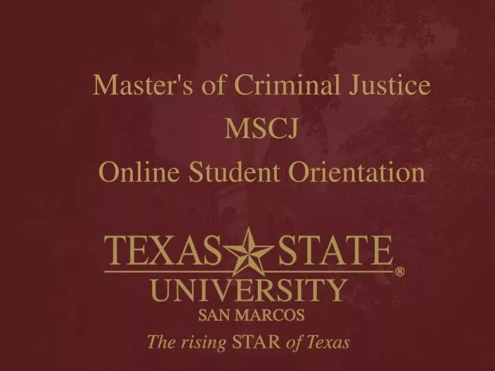 master s of criminal justice mscj online student orientation