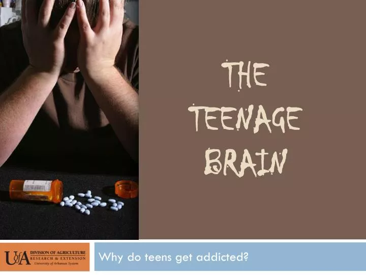 the teenage brain