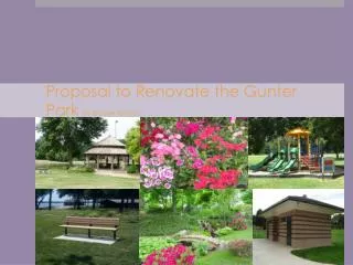 Proposal to Renovate the Gunter Park By Brooke Hogan