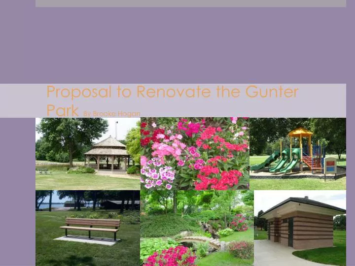 proposal to renovate the gunter park by brooke hogan