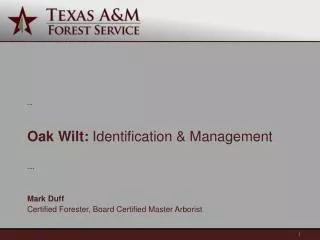 Oak Wilt: Identification &amp; Management