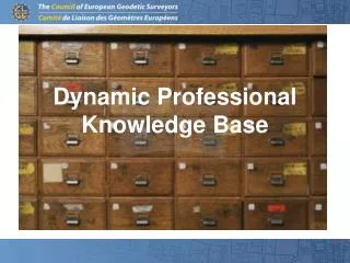 Dynamic Professional Knowledge Base