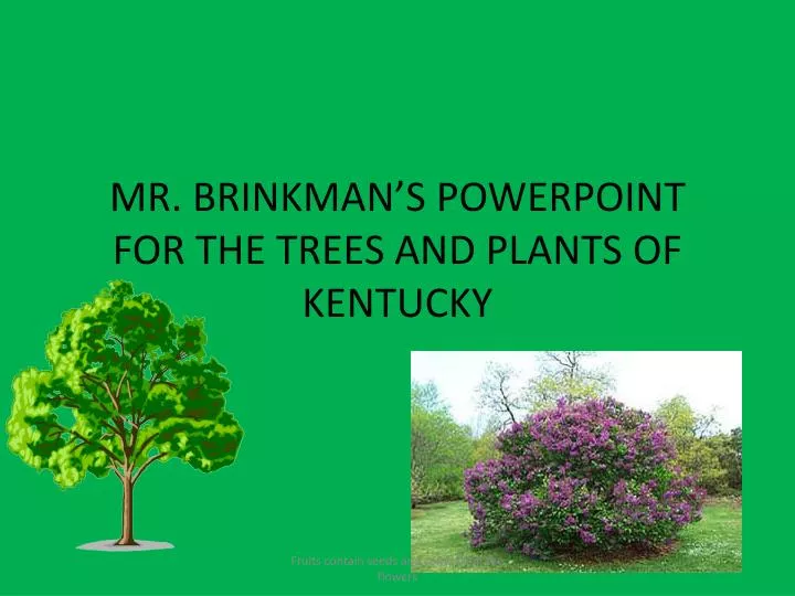 mr brinkman s powerpoint for the trees and plants of kentucky