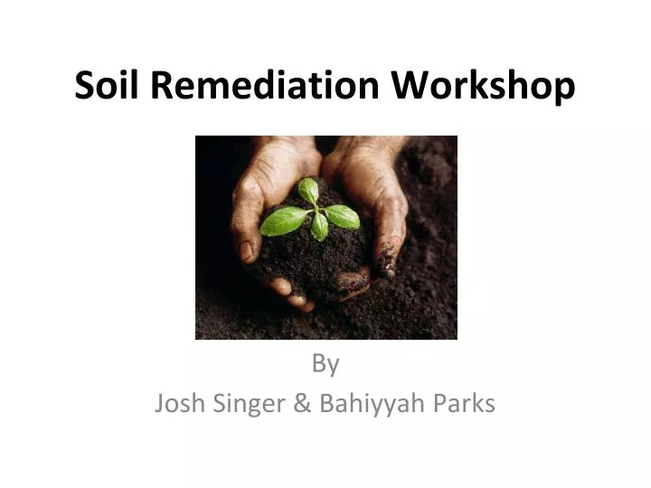 Workshop – Mycoremediation, a sustainable strategy for the