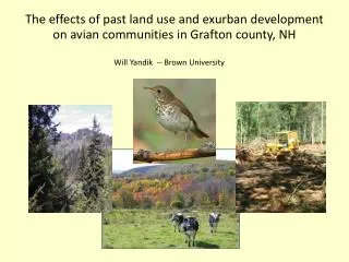 The effects of past land use and exurban development on avian communities in Grafton county, NH