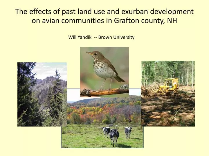 the effects of past land use and exurban development on avian communities in grafton county nh