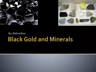 Black Gold and Minerals
