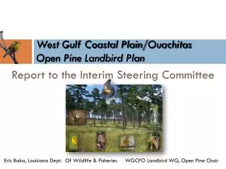 West Gulf Coastal Plain/ Ouachitas Open Pine Landbird Plan