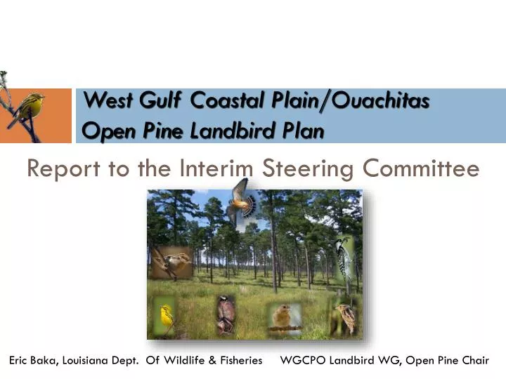 west gulf coastal plain ouachitas open pine landbird plan