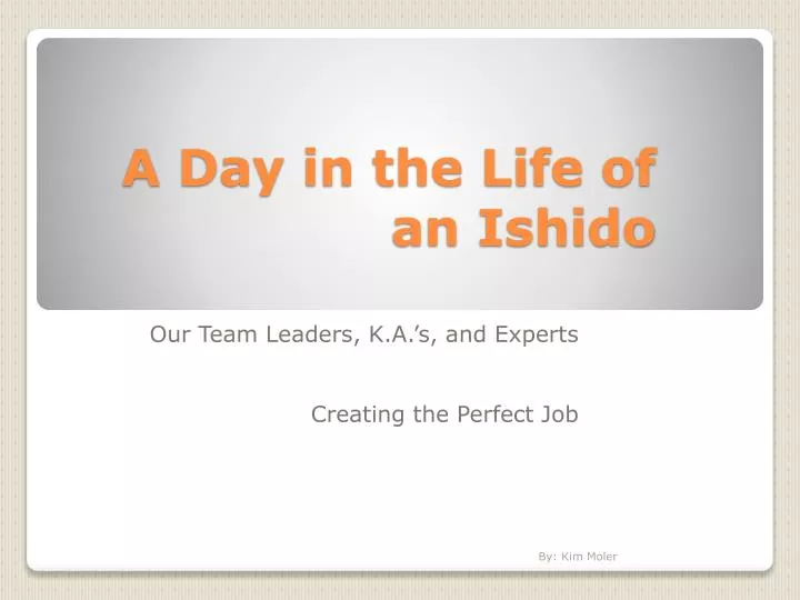 a day in the life of an ishido