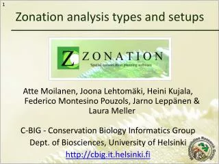 Zonation analysis types and setups