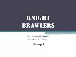 Knight Brawlers
